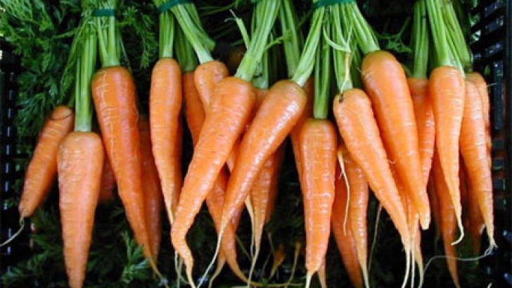 Efectele miraculoase ale morcovilor 