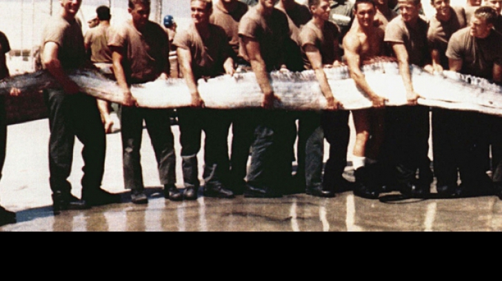 În anul 1973, mai mulţi soldaţi americani au prins pe râul Mekong din Laos un peşte uriaş. 