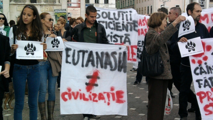 PROTEST în CAPITALĂ faţă de EUTANASIEREA câinilor fără stăpân