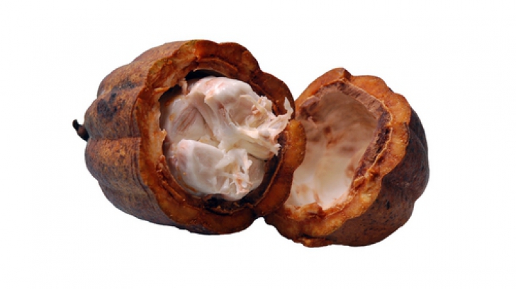 Untul de cacao: 7 beneficii şi utilizări