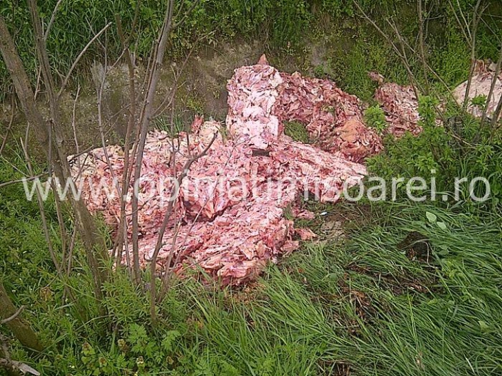 200 de kilograme de carne de pui, aruncate pe un câmp