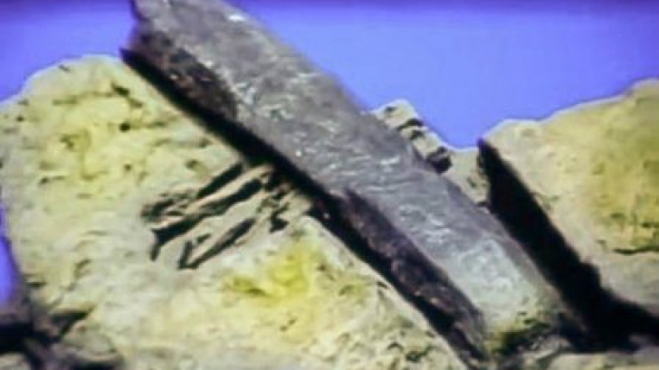 Ciocanul din Londra, artefactul care pune sub semnul întrebării teoria evoluționistă