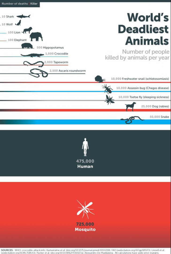 Cea mai periculoasă specie din lume. Ucide în fiecare an sute de mii de oameni