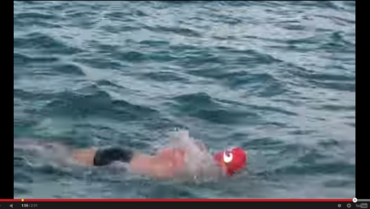 Un înotător care a zărit un rechin a fost salvat de delfini, care au venit alături de el