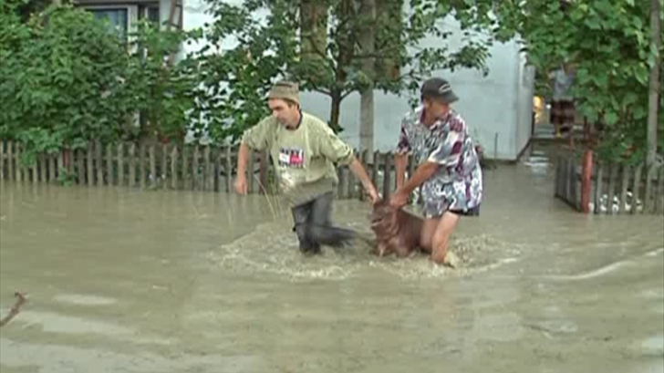Arhiepiscopia Bucureştilor ajută cu alimente familiile afectate de inundaţii din judeţul Teleorman