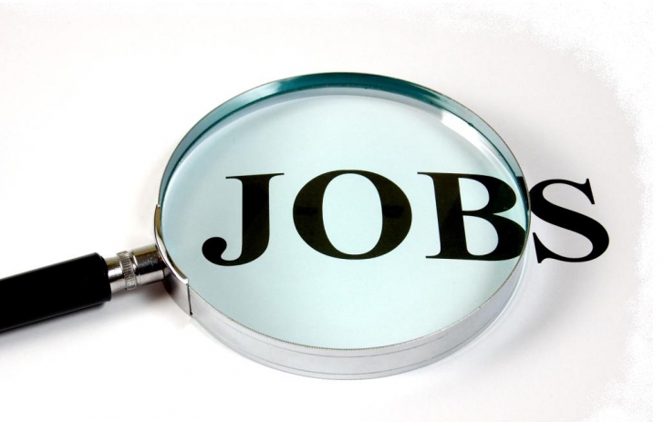 Angajatorii oferă peste 16.500 de joburi. Lista completă a posturilor vacante