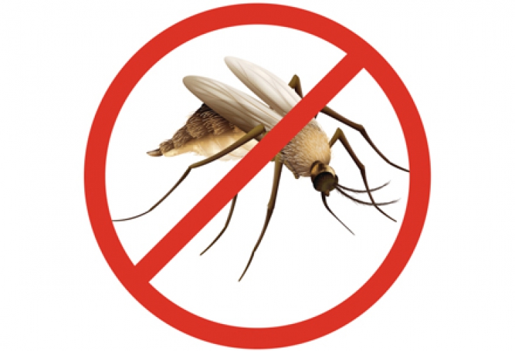 Cum scapi de ţânţari în mod natural