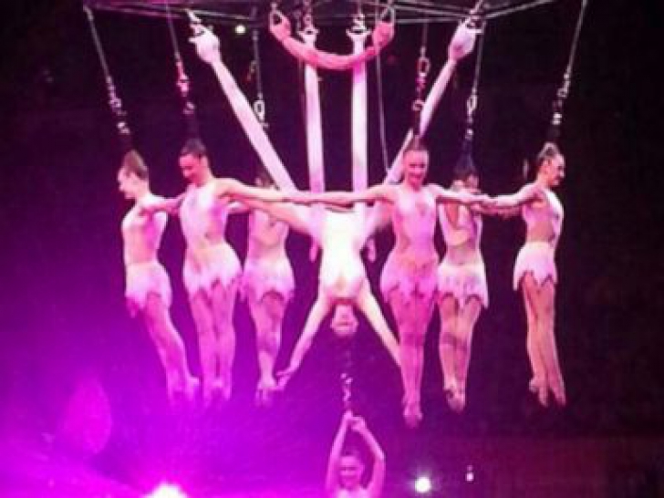 Scene terifiante la circ: spectatorii au crezut că face parte din numărul de acrobaţie