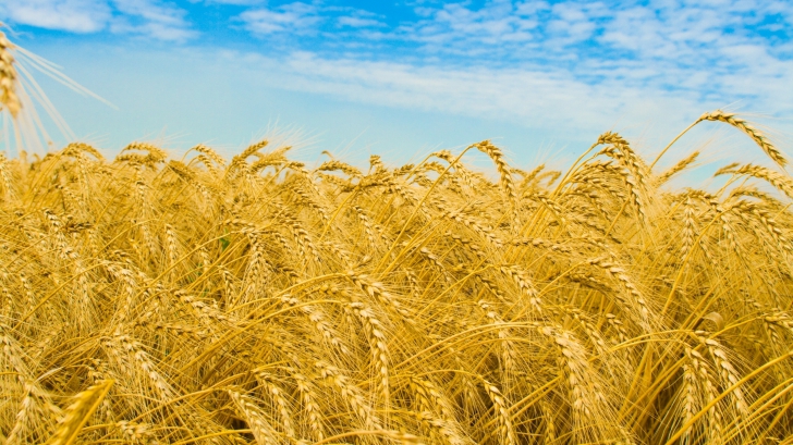 Cioloş: Europa de Est valorifică doar o treime din potenţialul agricol