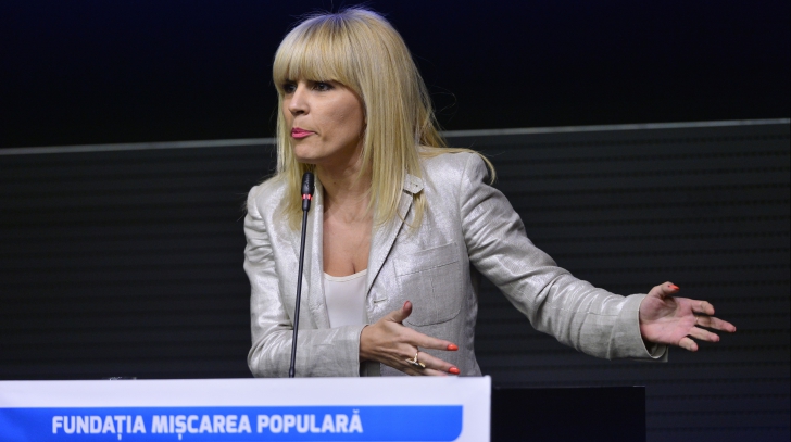 Elena Udrea: Guvernul e pregătit să-şi finanţeze firmele de casă