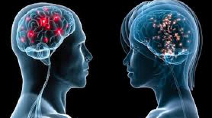 Creierul femeilor prezintă anumite diferențe față de cel al bărbaților