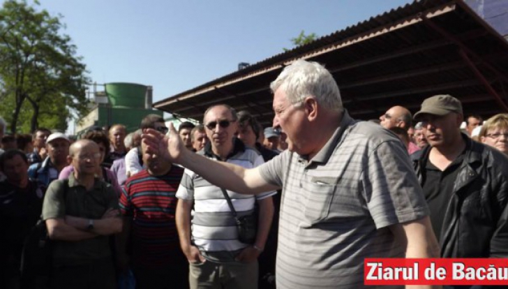 18 salariați de la Amurco Bacău, companie deținută de Ioan Niculae, au intrat în greva foamei