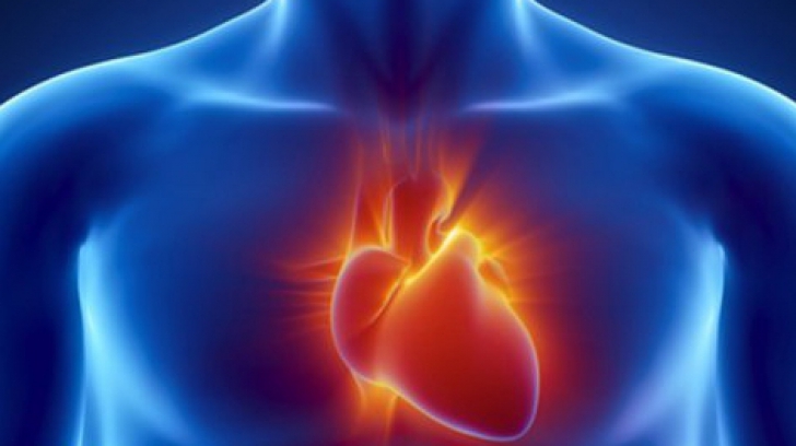 STUDIU ALARMANT: Află prima cauză a bolilor de inimă în ziua de azi