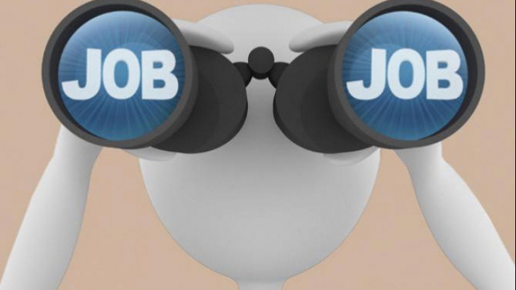 Numărul joburilor vacante a scăzut la finele lui 2014.Domeniile cu cele mai multe joburi disponibile
