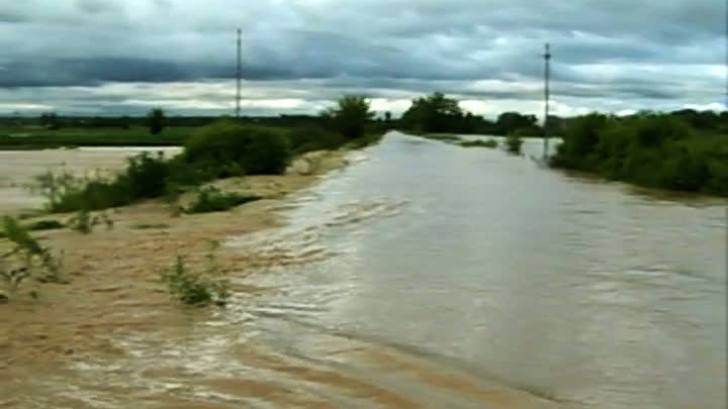 Peste 600 de gospodării din Olt sunt inundate, după ce râul Vedea a ieşit din matcă