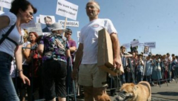 Protest al revolutionarilor