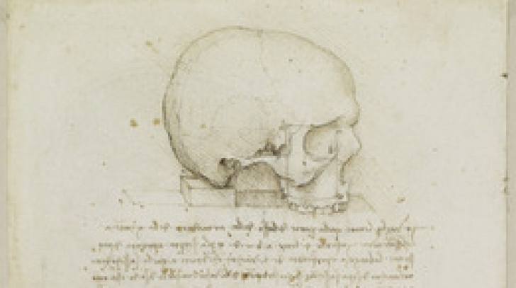 Misterul craniului lui Da Vinci.