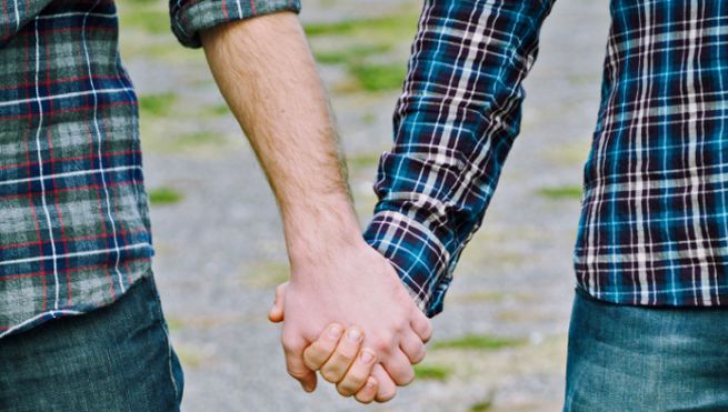 Parteneriatul civil între persoanele de același sex, RESPINS de Camera Deputaților