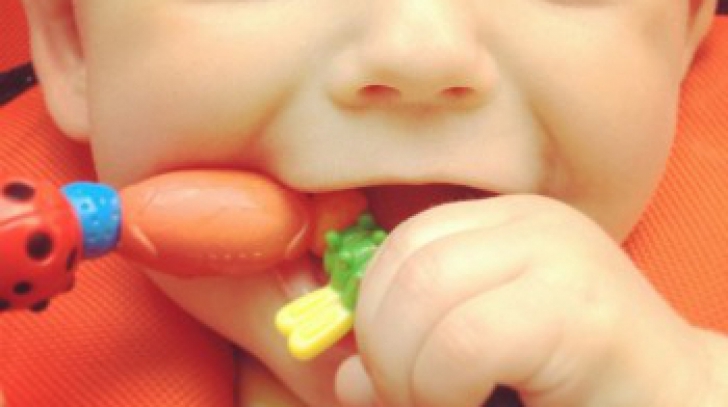 Jucăriile toxice: Guvernul limitează utilizarea unor substanţe chimice care afectează copii