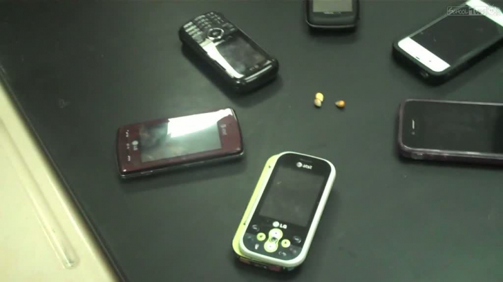 Cat de NOCIVE sunt telefoanele mobile? Experimentul incredibil de pe internet