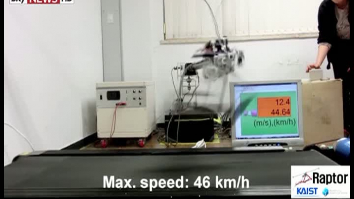 Robotul cu picioare bionice aleargă mai rapid decât Usain Bolt