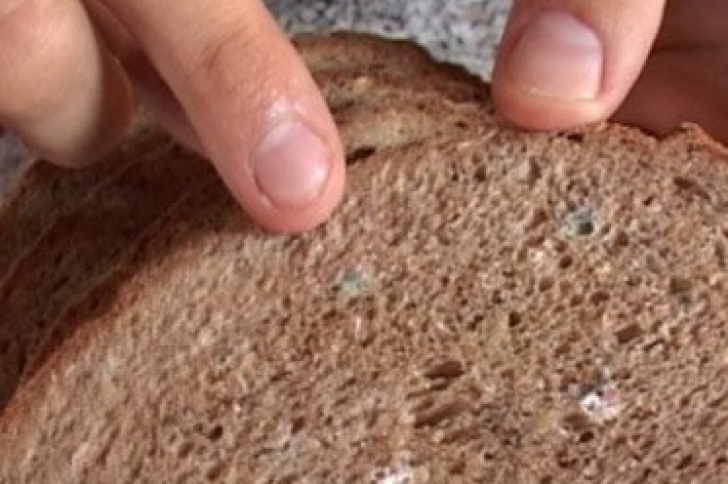 Pâine cu mucegai, un pericol public