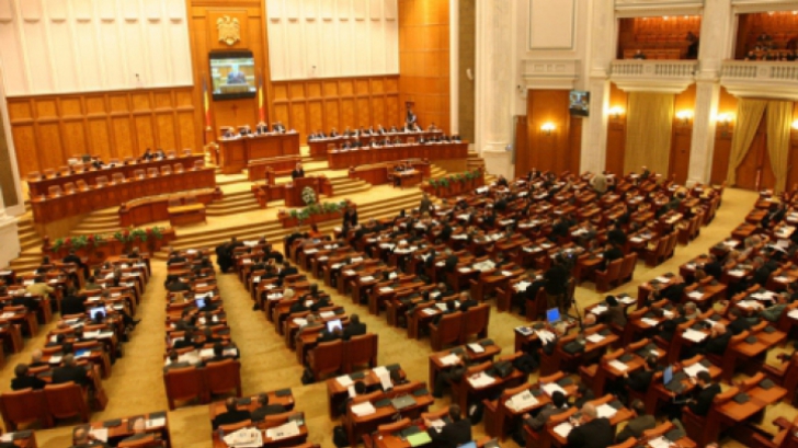 IPP: Prima sesiune parlamentară din 2014 a fost profund politizată, votul pe legi - strict politic