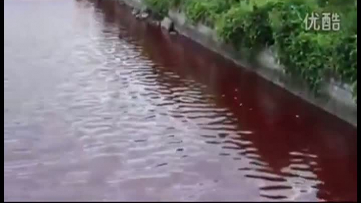 Apa unui râu din estul Chinei s-a făcut  sângerie în câteva minute