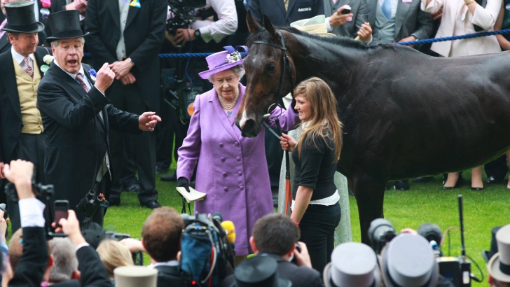 Calul Reginei Elisabeta a II-a, testat pozitiv la un test doping