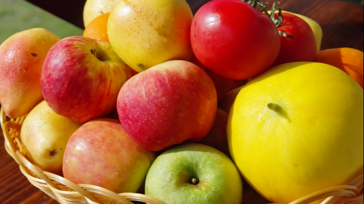 Rusia interzice temporar importul fructelor moldovenești