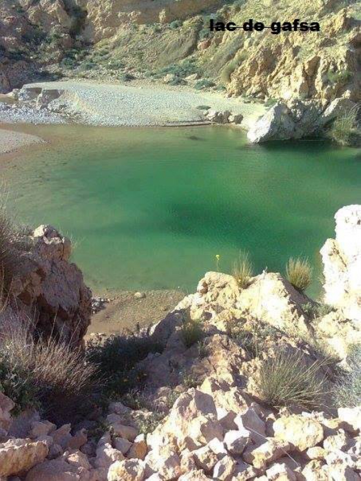 Lac misterios, apărut în deşert. FOTO: Facebook