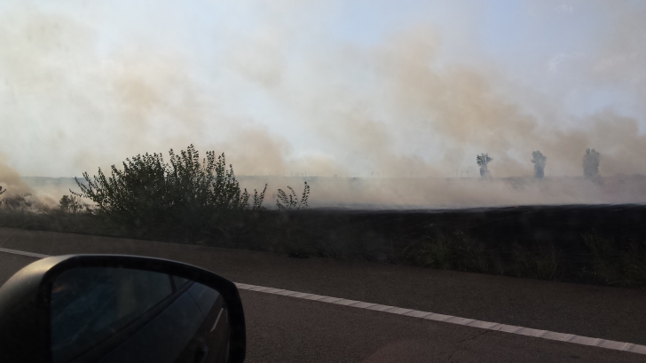 Incendii de vegetaţie lângă A2
