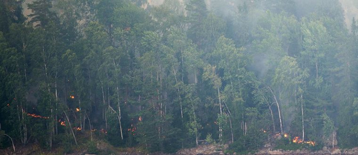 Suedia, stare de urgenţă, în urma celui mai mare incendiu de vegetaţie din ultimii 40 de ani