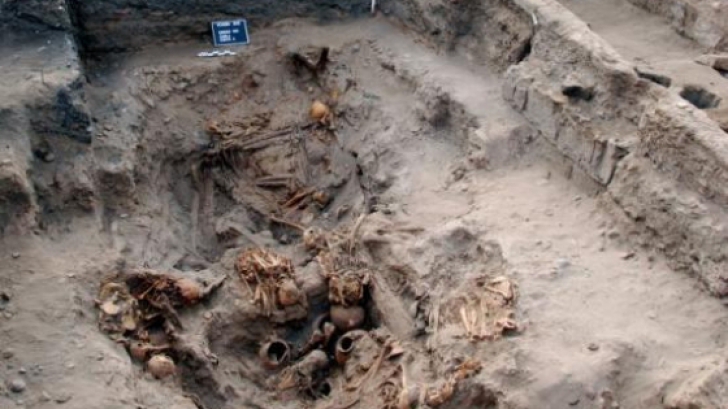Statuetă din os, veche de circa 20.000 de ani, descoperită de arheologi din județ 