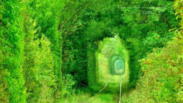 Tunelul iubirii, din România, pe lista Comorilor Ascunse