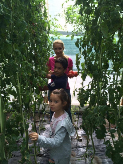 Pozele postate de Victor Ponta