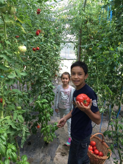 Pozele postate de Victor Ponta