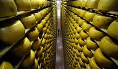 Lingouri de brânză