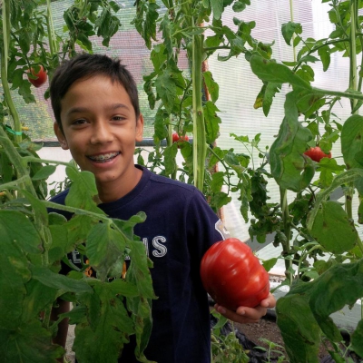 Pozele postate de Victor Ponta