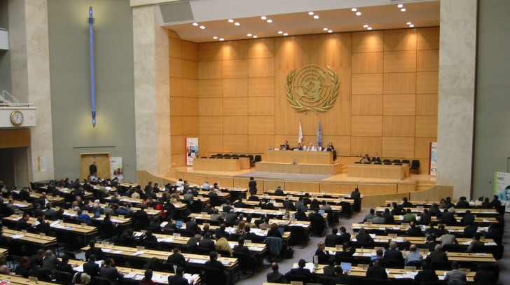 Comisia de anchetă ONU: Lipsa de acţiune a Consililului de  securitate a încurajat Statul ISLAMIC