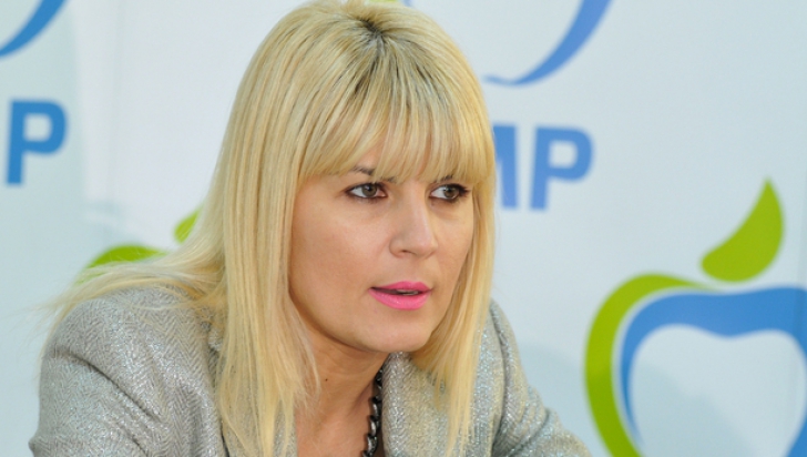 Elena Udrea: PMP cere comisie de anchetă în Parlament, pe tema manualelor