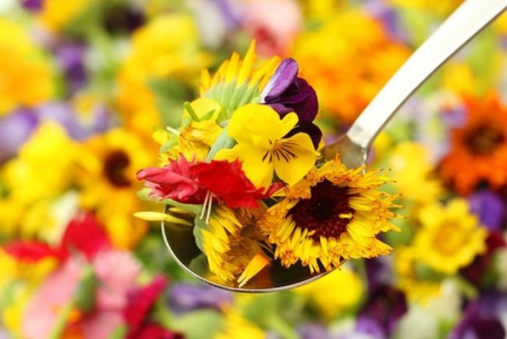  A apărut cartea de bucate care arată cum poți transforma florile în delicii culinare  