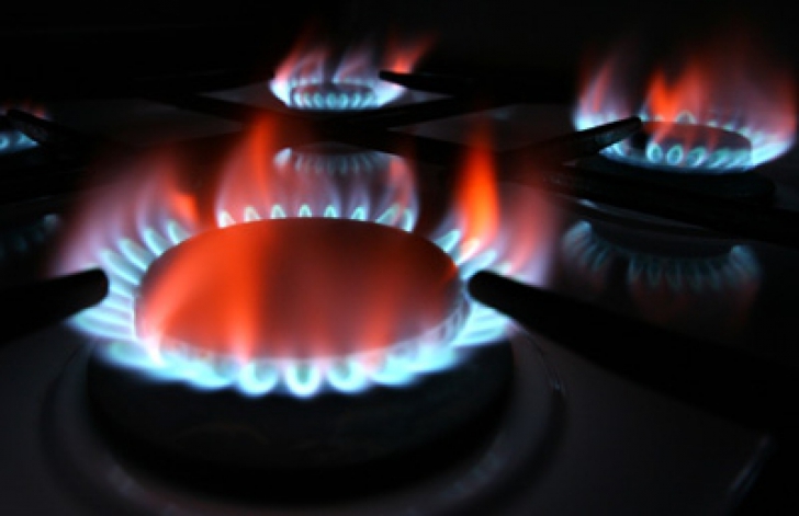 Departamentul pentru Energie cere amânarea liberalizării preţului gazelor pentru populaţie