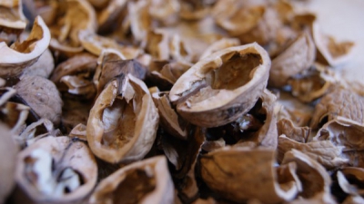 NU arunca cojile de nuci! Sunt un MIRACOL pentru sănatate