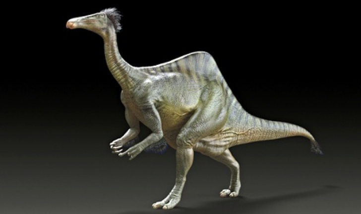Imaginea dinozaurilor Deinocheirus mirificus, reconstituită după 50 de ani de speculații