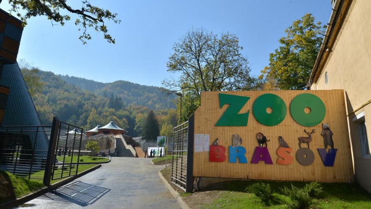 Grădina zoologică din Braşov, REDESCHISĂ publicului după doi ani