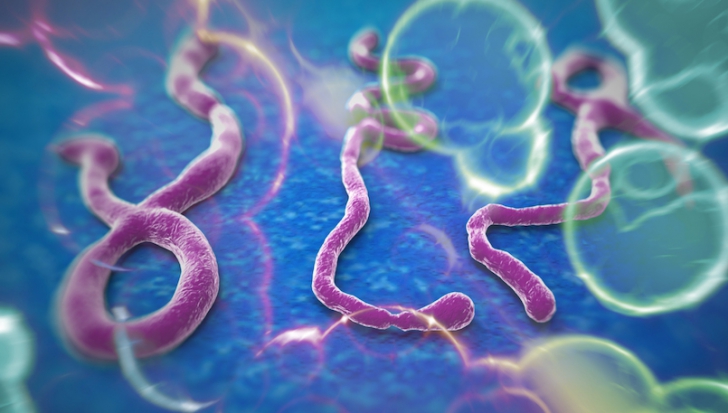 Risc de Ebola la Timișoara!? Ce fac autoritățile