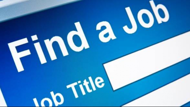 Firmele au peste 15.500 de joburi vacante. Ce caută angajatorii