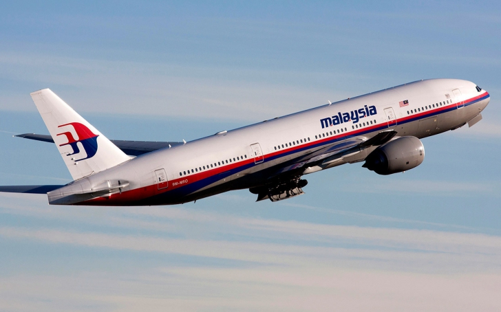 Serviciul german de Externe: Avionul Malaysia Airlines a fost doborât, în Ucraina, de proruşi 