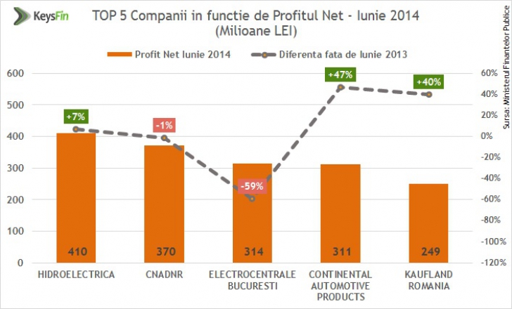 TOP 5 – Cele mai mari, cele mai profitabile şi cele mai păguboase AFACERI din România